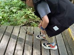 -汤旺河林海奇石景区
