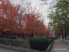 -辽宁大学(崇山校区)