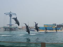 -秦皇岛乐岛海洋王国