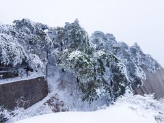 -天柱山风景区