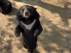 -泉城欧乐堡梦幻世界