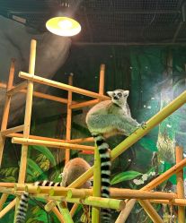 -Zoolung Zoolung动物主题公园(海信广场店)