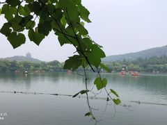 -西湖外事游船(花港观鱼码头)