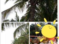 -福田红树林生态公园