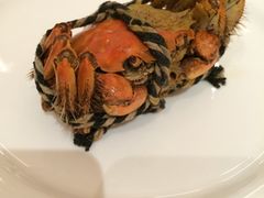 -乐咖啡西餐厅(太湖皇冠假日酒店)