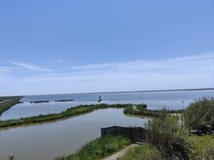 -盐城丹顶鹤湿地生态旅游区