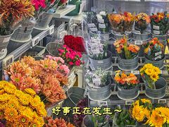 -盒马鲜生(皇庭广场店)