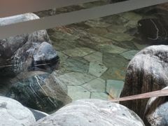 -汤里来温泉
