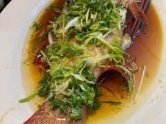 清蒸東星班-龙图阁海鲜饭店