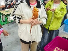 -长春农业博览园