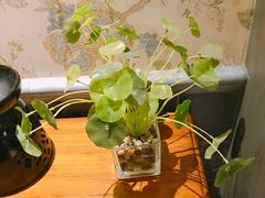 -樱蘭·影院足道·养生SPA(三里屯店)