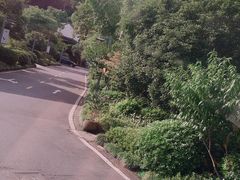 -杭州花家山庄