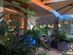 -芸鲜季·云南野生菌餐厅· 云南风物味研社(闵行店)