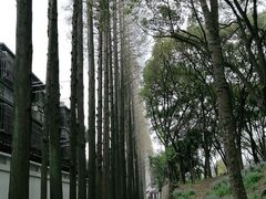 -上海方塔园