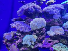 -江和美海洋公园