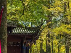 -青城山