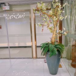 -芳朵美容养生SPA