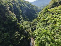 -碧峰峡风景区