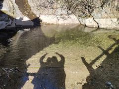 -王顺山国家森林公园