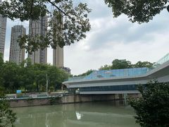 -成都市活水公园