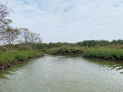 -大湾区中央湿地公园