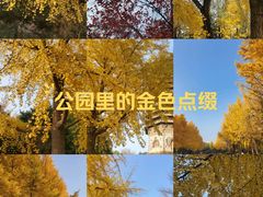 -玲珑塔公园