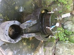 iphone_upload_pic-汉拿树木园