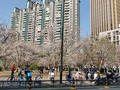 -西北湖绿化广场