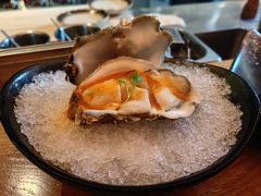 生蚝刺身-渡鲑亭(东二环泰禾广场店)