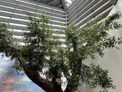 -西安大唐西市博物馆
