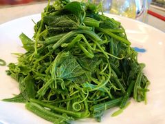 凉拌丝瓜尖-玉华宫宾馆·餐厅(铜川驻京办店)