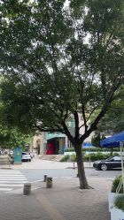 -Dr.U博士医疗美容医院