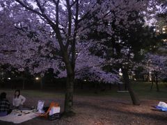 -台场海滨公园船码头