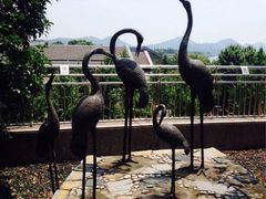 iphone_upload_pic-杭州君悦酒店