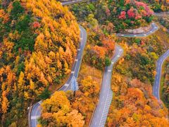 -光雾山旅游景区