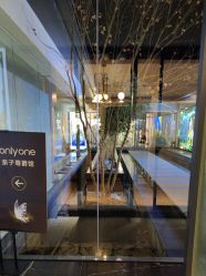 -爱儿美儿童摄影(朝阳公园店)