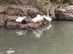 -兰亭风景区