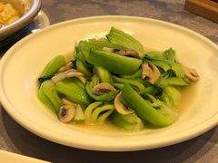 -山外山菜馆(玉泉路店)