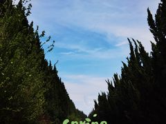 -秦始皇帝陵博物院-丽山园