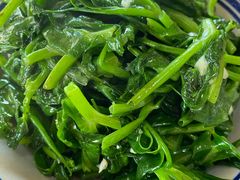 -马帮菜馆·美味野生菌