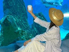 -海合安成都极地海洋公园