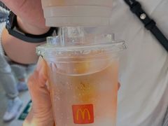 椰子水饮-麦当劳(新王府井店)