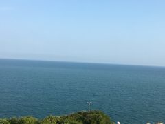 -广东惠东海龟国家级自然保护区