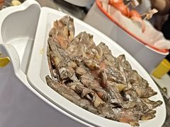 -龍歌自助小火锅(李沧顺和汇店)