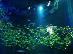 -成都浩海立方海洋公园