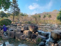-无锡梅园公园