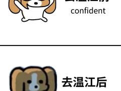 -老鼎万春卤菜(五代传承创始老店)