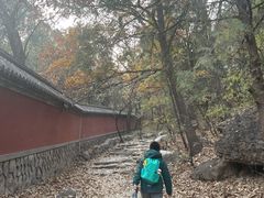 -阳台山自然风景区