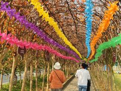 -武汉紫薇都市田园