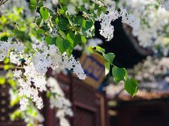 -潭柘寺景区